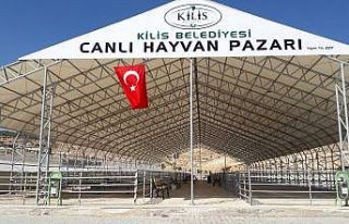 Kilis’te hayvan pazarı korona virüs tedbirleri...