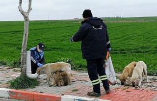 Kırklareli’de yürekleri ısıtan görüntü
