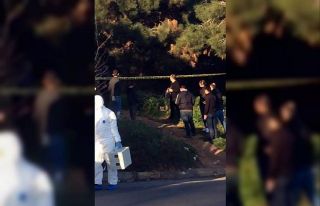 Kız arkadaşını öldürüp ormanda intihar etti