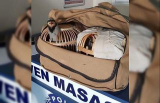 Kocaeli’de yasa dışı keklik avına 4 bin 850...