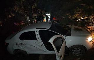 Kontrolden çıkan otomobil ağaca çarpıp şarampole...