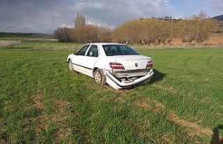 Kontrolden çıkan otomobil tarlaya girdi: 1 yaralı