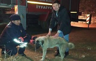 Konya’da köpek kurtarma operasyonu