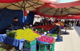 Korona virüs pazarı da vurdu