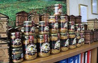 Korona virüs salgını Anzer Poleni’ne ilgiyi arttırdı