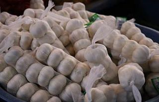 Korona virüs ’Sarımsak’ ta ateşi yükseltti