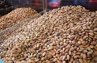 Korona virüs tedavileri içerisinde kayısı çekirdekleri...