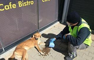 Korona virüsü nedeniyle iş yerleri kapanmıştı,...