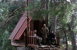 Korona virüsünden ağaç tepesine yaptıkları evde...