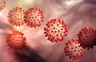 Koronavirüs bir rekora daha imza attı