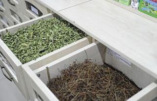 Koronavirüs doğal ürünlere ilgiyi artırdı