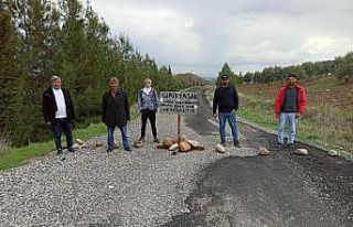 Köylüler kendilerini karantinaya aldı