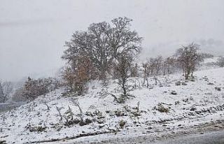 Kula’nın yüksek kesimlerinde kar yağışı etkili...