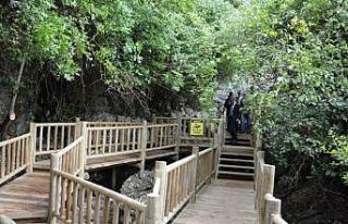 Kuşadası’nda piknik ve mesire alanları halkın...