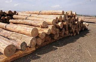 Kütahya Orman Bölge Müdürlüğünde E - Satış...