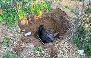 Kuyuya bakan vatandaşlar gördükleri manzara karşısında...