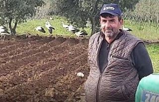 Leyleklerin istilası