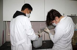 Liselilerden korona virüsüne karşı 10 kat daha...