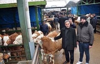 Malatya Hayvan Pazarı kapatıldı