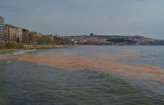 Marmara Denizi turuncuya boyandı