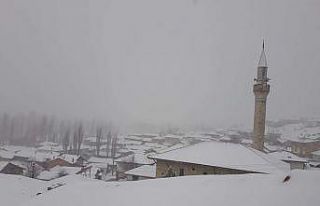 Mart ayında 10 santimetre kar