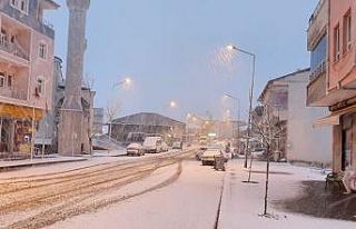 Mart ayında lapa lapa kar yağdı