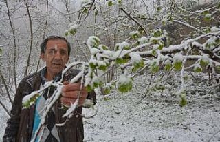 Mart kapıdan baktırdı
