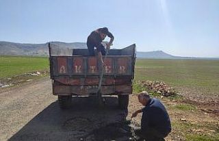 Mazıdağı’nda muhtar kendi imkanlarıyla köy...