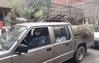 Medeni denilen Avrupa yaşlıları ölüme terk ederken...