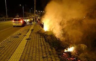 Mersin Antalya karayolu çevresinde 3 ayrı yangın