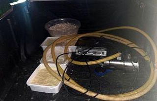 Mersin’de merdiven altı süt üretimi yapılan...