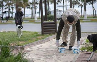 Mersin’de sokak hayvanları için birçok noktaya...
