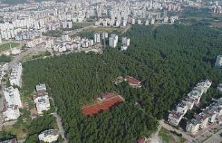 Mesire alanın ismini halk belirleyecek