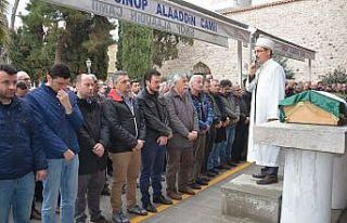 Minik Çınar lösemiye yenildi