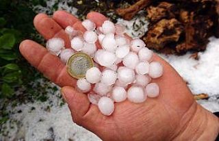 Misket büyüklüğündeki dolu meyve bahçelerini...