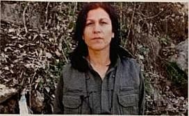 MİT ve TSK’nın Kandil’de gerçekleştirdiği...