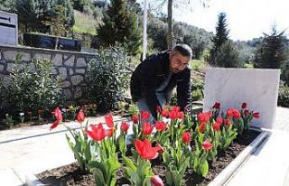 Mudanya’daki şehit mezarları çiçeklendirildi