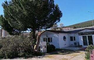 Muğla’da fırtına etkili oluyor