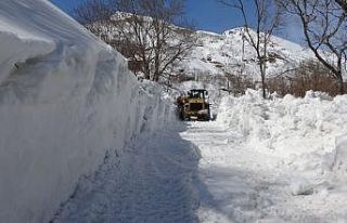 Muş’ta karla mücadele çalışması