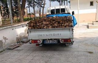 Odun yardımı bahanesiyle geldiler, altınları çalıp...