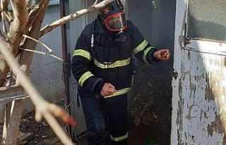 Odunlukta çıkan yangın korkuttu