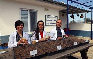 Okulların yerel tohumu Muğla Büyükşehirden
