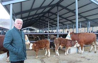 Oltu canlı hayvan pazarı kapatıldı