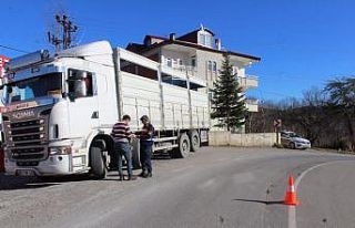 Ordu’da 29 ağır yük aracı trafikten men edildi