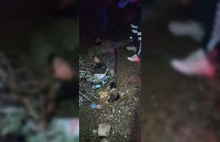 Ormanlık alanda kurtarma ekipleri tarafından yarı...