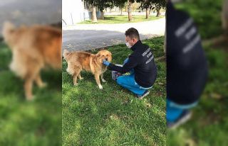 Ortaca Belediyesinden ‘Can dostlara’ mama ve su...