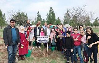 Ortaokul öğrencileri fidan dikti