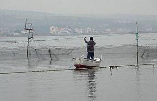 (Özel) Binlerce yıllık yöntemle günde 1 ton balık...