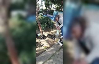 (Özel) Hayvansever, sokak hayvanlarını beslemek...