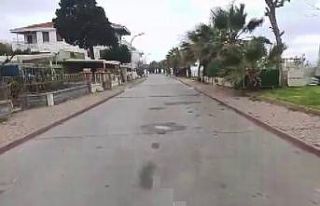 (Özel) Korona virüs sonrası Adalar ıssız adaya...